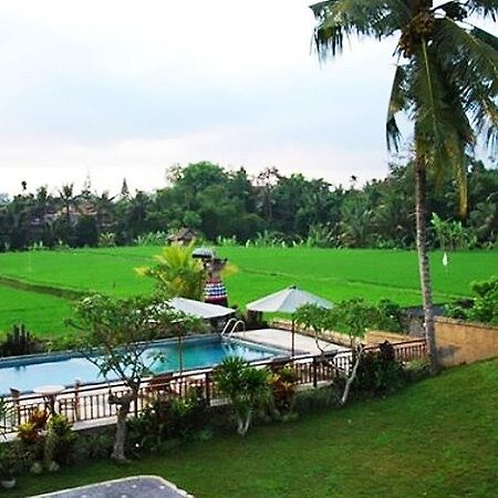 Nyoman Karsa Bungalow ウブド エクステリア 写真